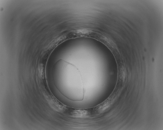 X0000085060328200703121531