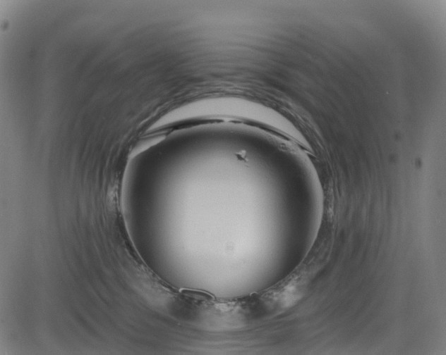 X0000085060329200703121531