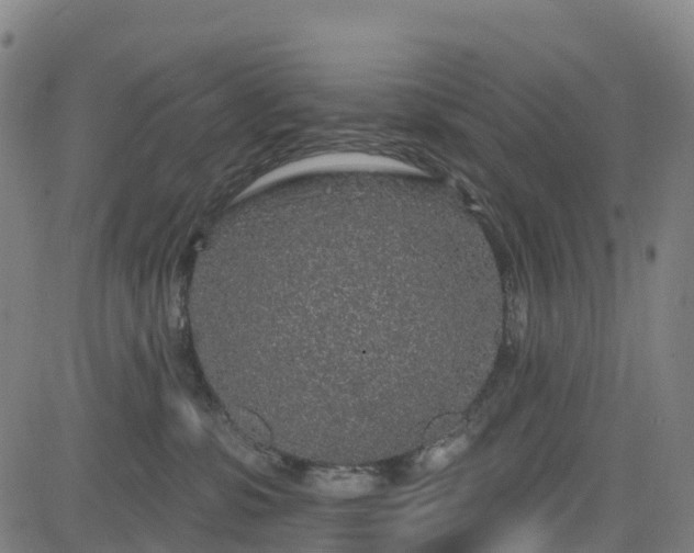 X0000085060331200703121531