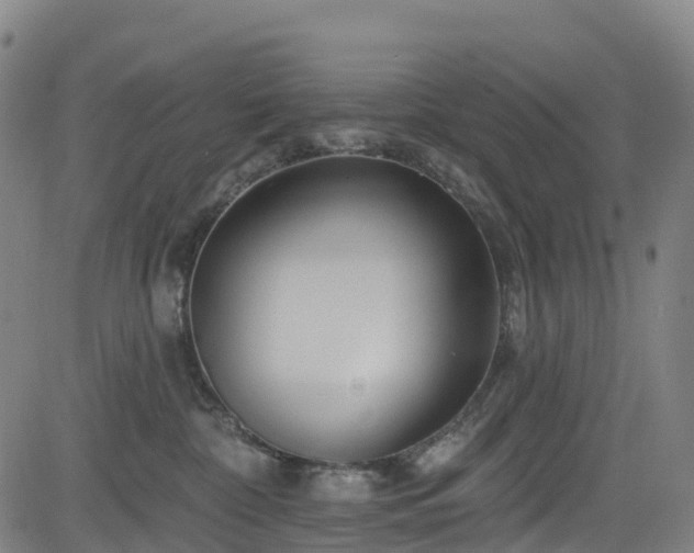 X0000085060332200703121531