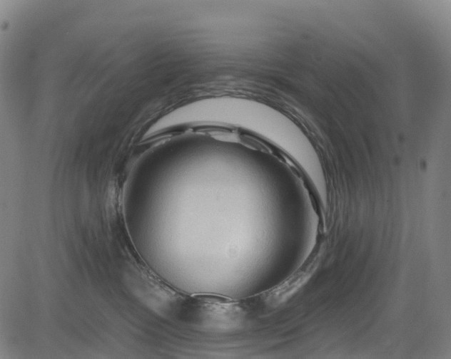 X0000085060333200703121531