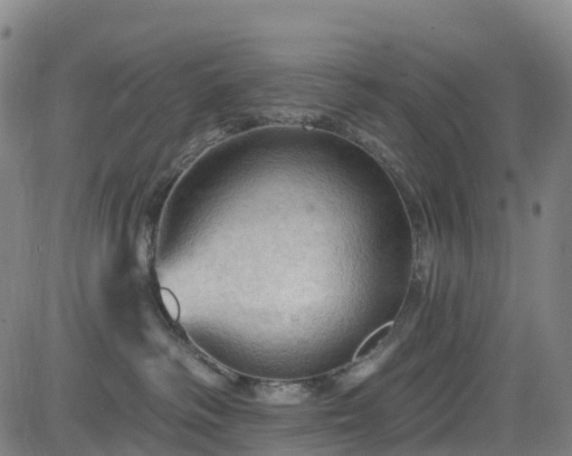 X0000085060334200703121531