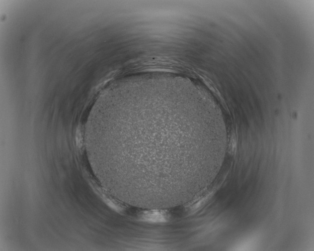 X0000085060335200703121531