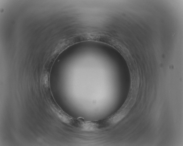 X0000085060336200703121531