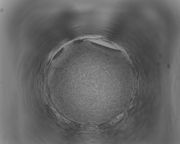 X0000085060337200703121530