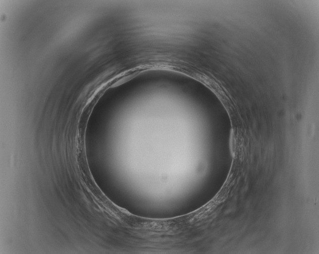 X0000085060338200703121530