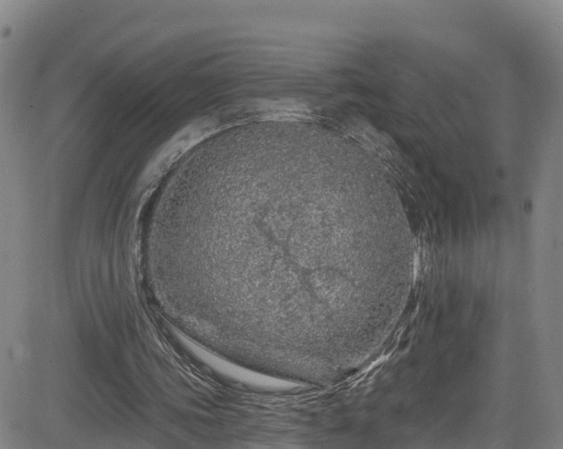 X0000085060339200703121530