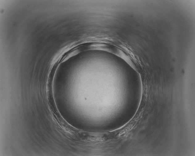 X0000085060340200703121530