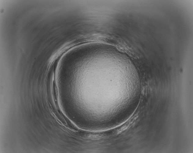 X0000085060341200703121530