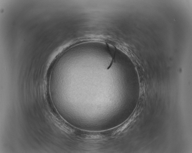 X0000085060342200703121530