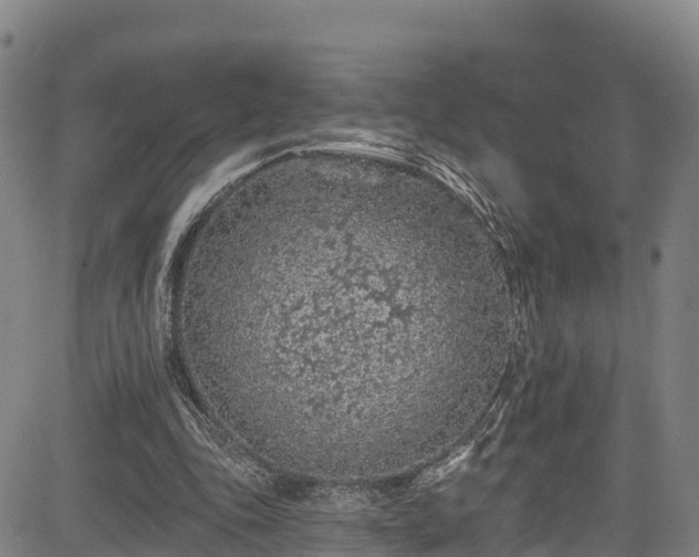 X0000085060343200703121530