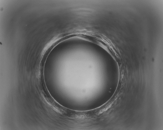 X0000085060344200703121530