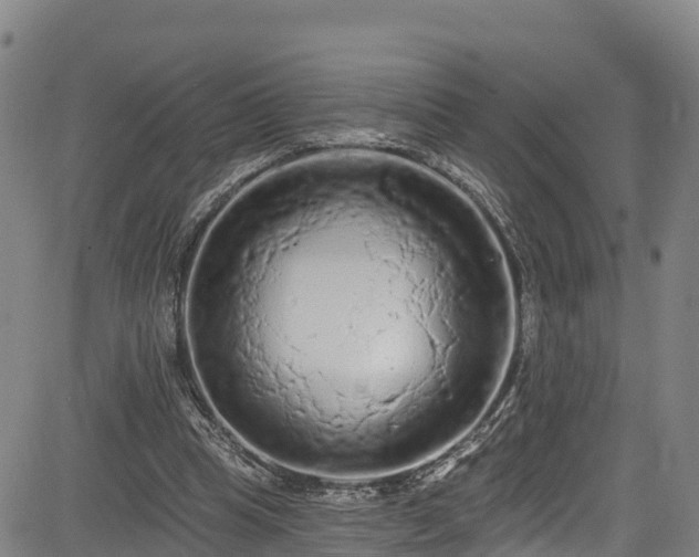 X0000085060345200703121531