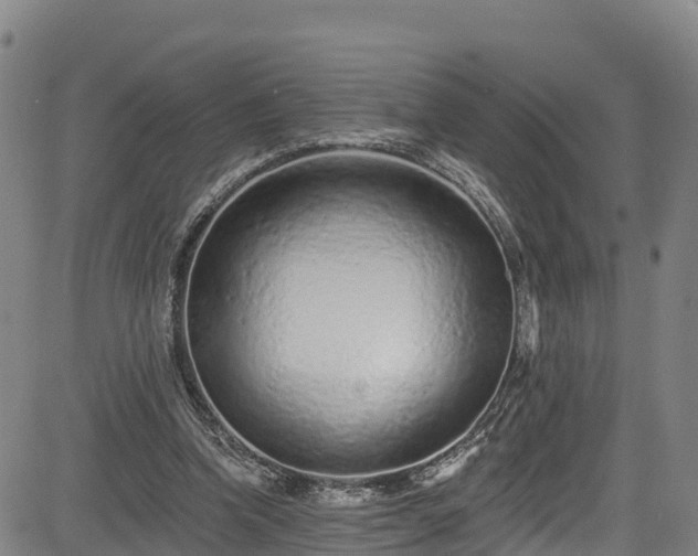 X0000085060346200703121531