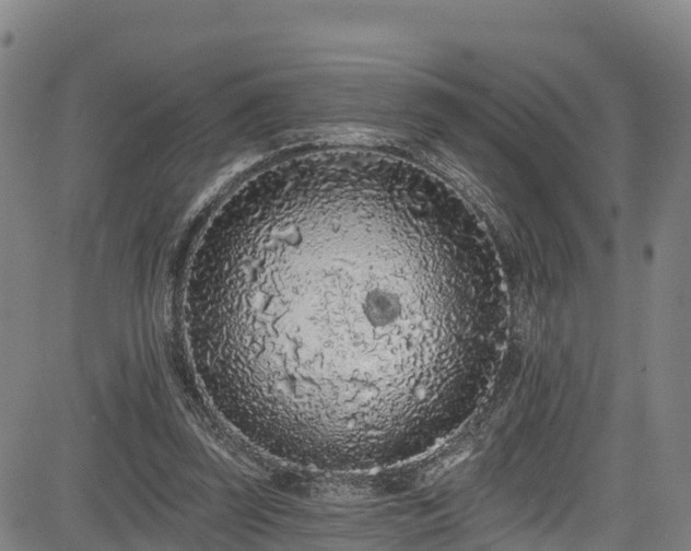 X0000085060347200703121531