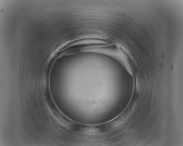 X0000085060348200703121531