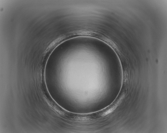 X0000085060349200703121531