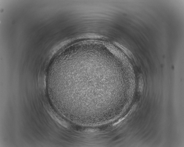 X0000085060350200703121531