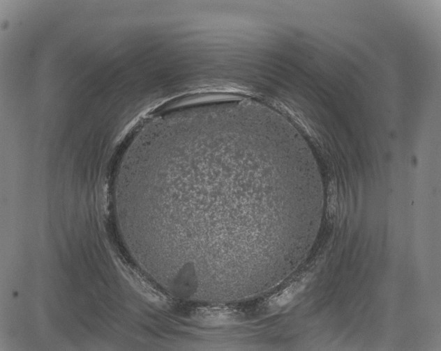 X0000085060351200703121531