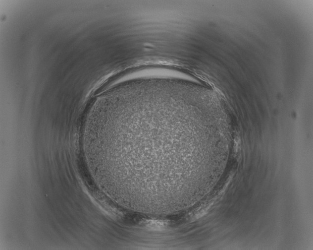 X0000085060352200703121531