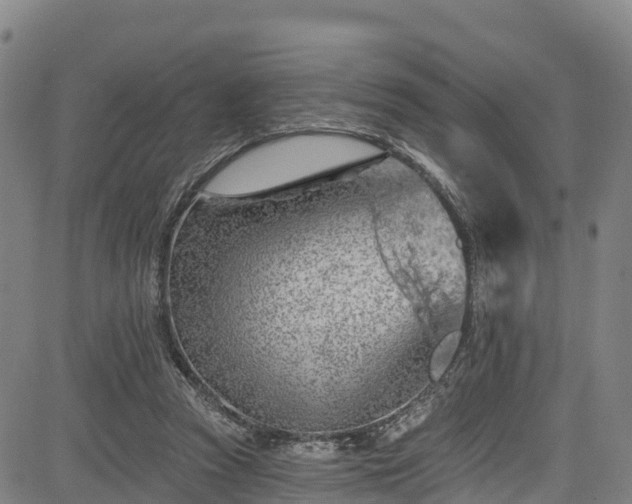 X0000085060353200703121531