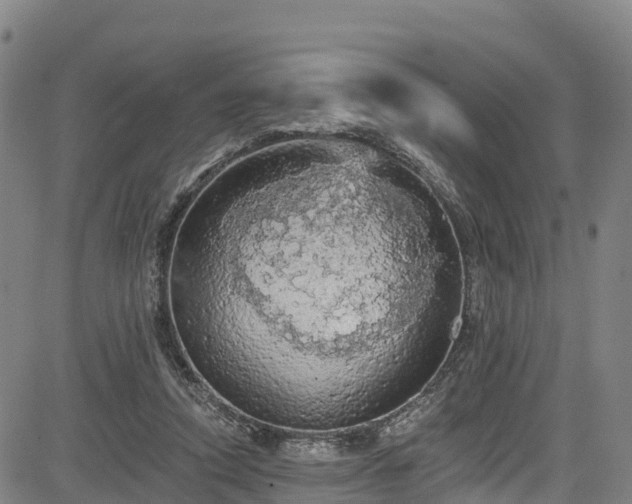 X0000085060354200703121531