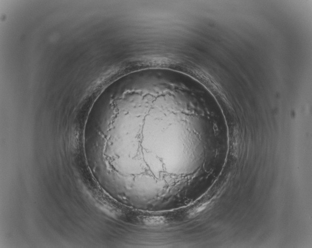 X0000085060355200703121531