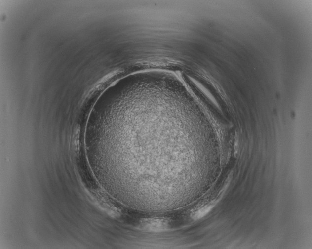 X0000085060356200703121531