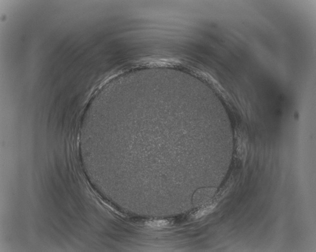 X0000085060357200703121531