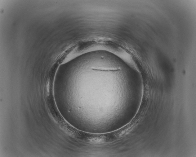 X0000085060358200703121531