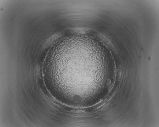 X0000085060359200703121531