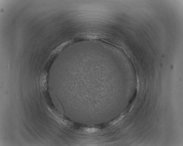 X0000085060360200703121531