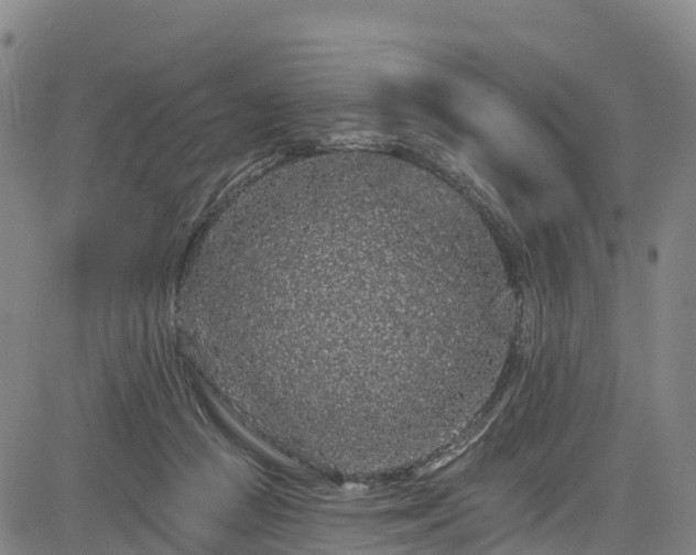 X0000085060361200703121531