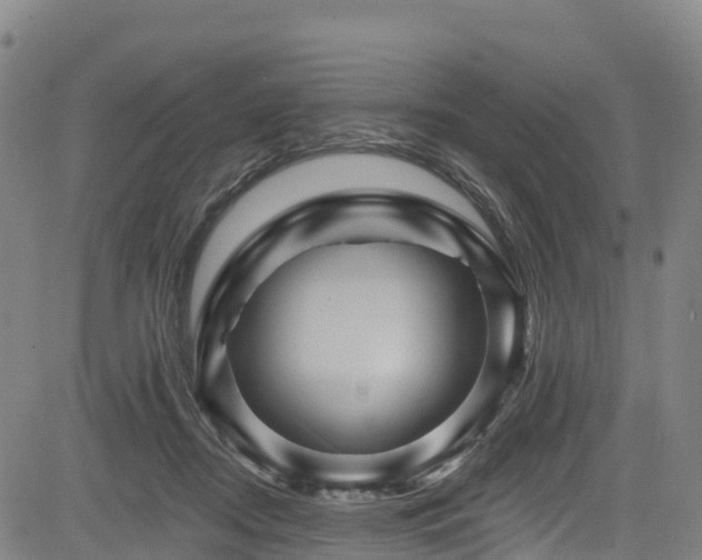 X0000085060362200703121531