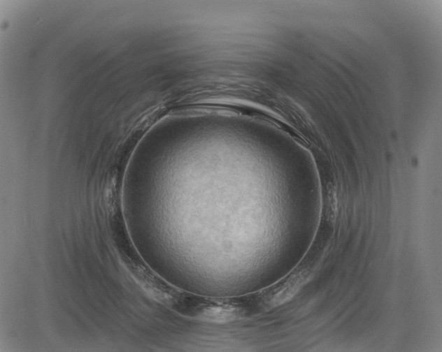 X0000085060364200703121531