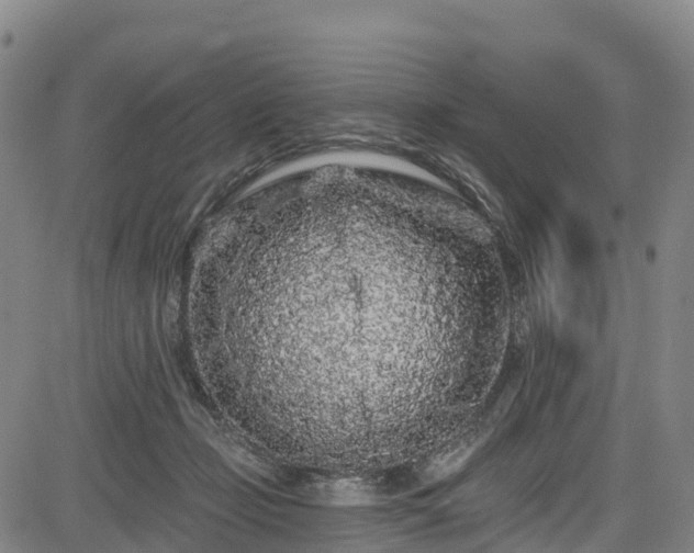 X0000085060365200703121531