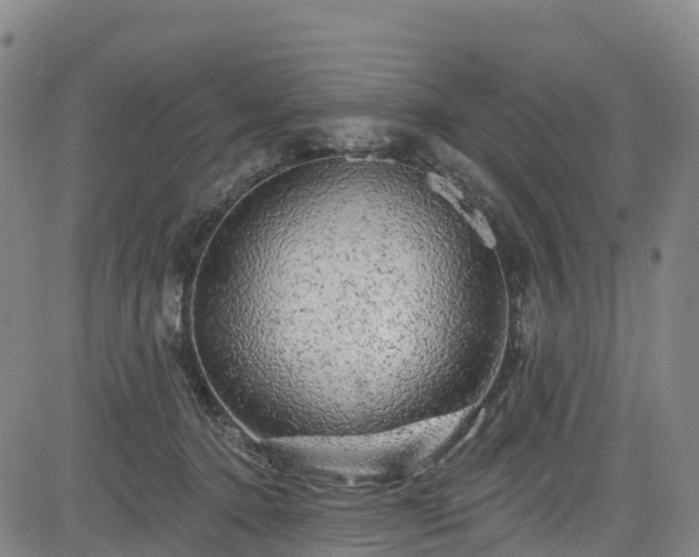 X0000085060368200703121531