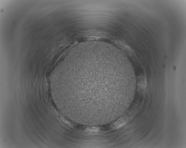 X0000085060369200703121531