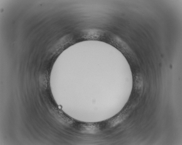 X0000085060370200703121531