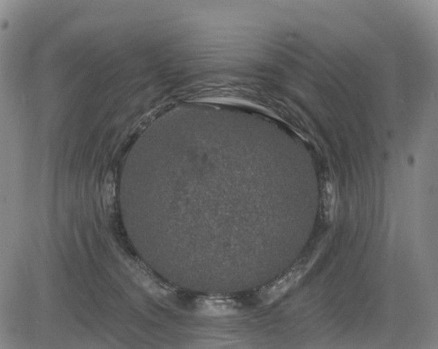 X0000085060372200703121531