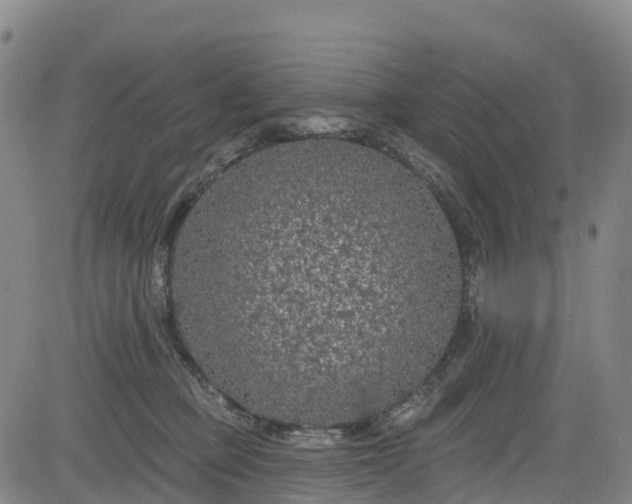 X0000085060373200703121531