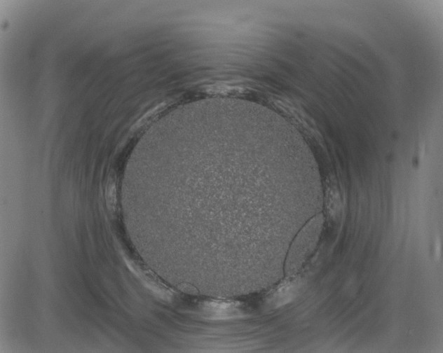 X0000085060375200703121531