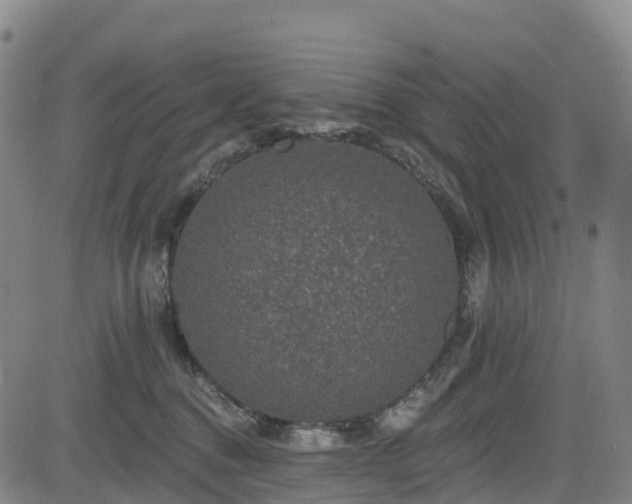 X0000085060376200703121531