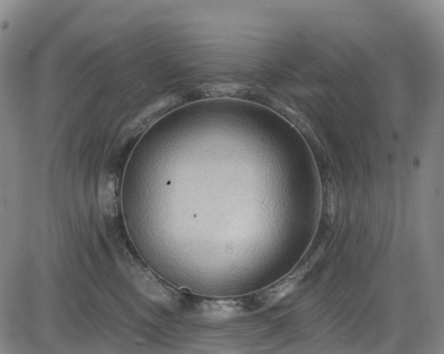 X0000085060378200703121531