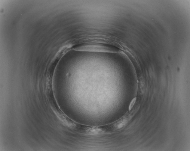 X0000085060379200703121531