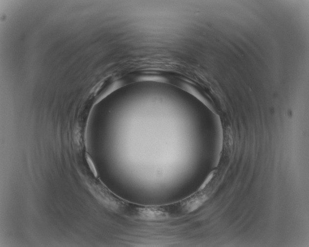 X0000085060380200703121531