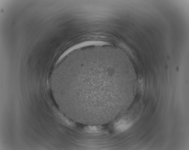 X0000085060381200703121531