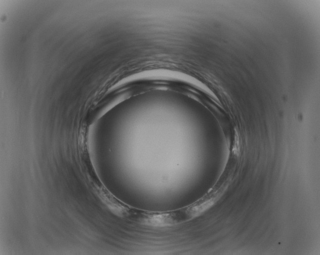 X0000085060382200703121531