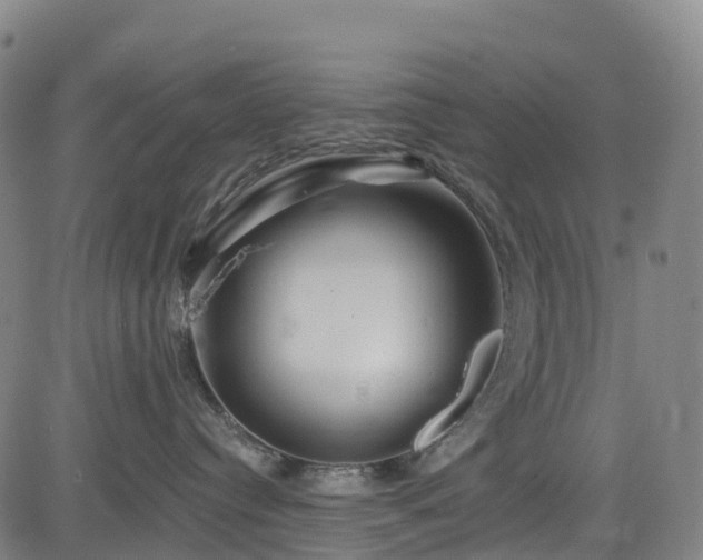 X0000085060384200703121531