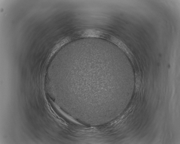 X0000085060386200703121530